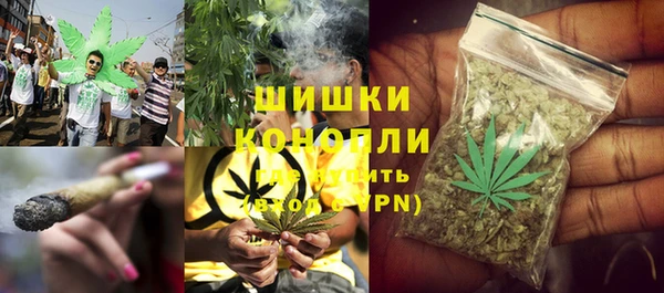 кокс Вяземский