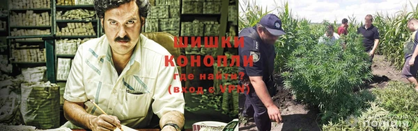 кокс Вяземский