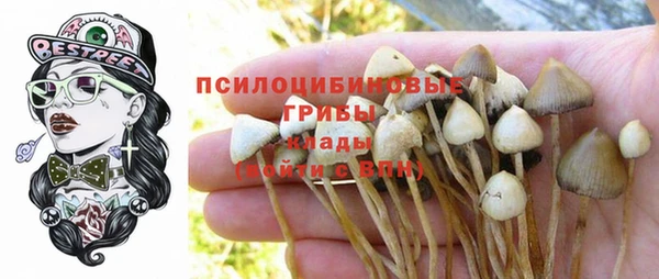 кокс Вяземский