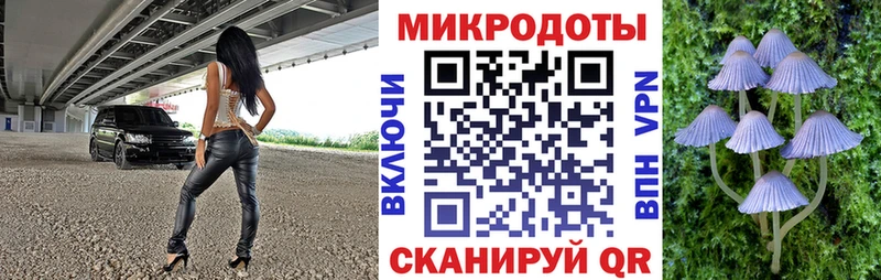 где купить   Избербаш  Псилоцибиновые грибы Magic Shrooms 
