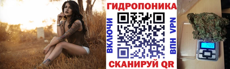 Канабис ГИДРОПОН  где продают наркотики  Избербаш 